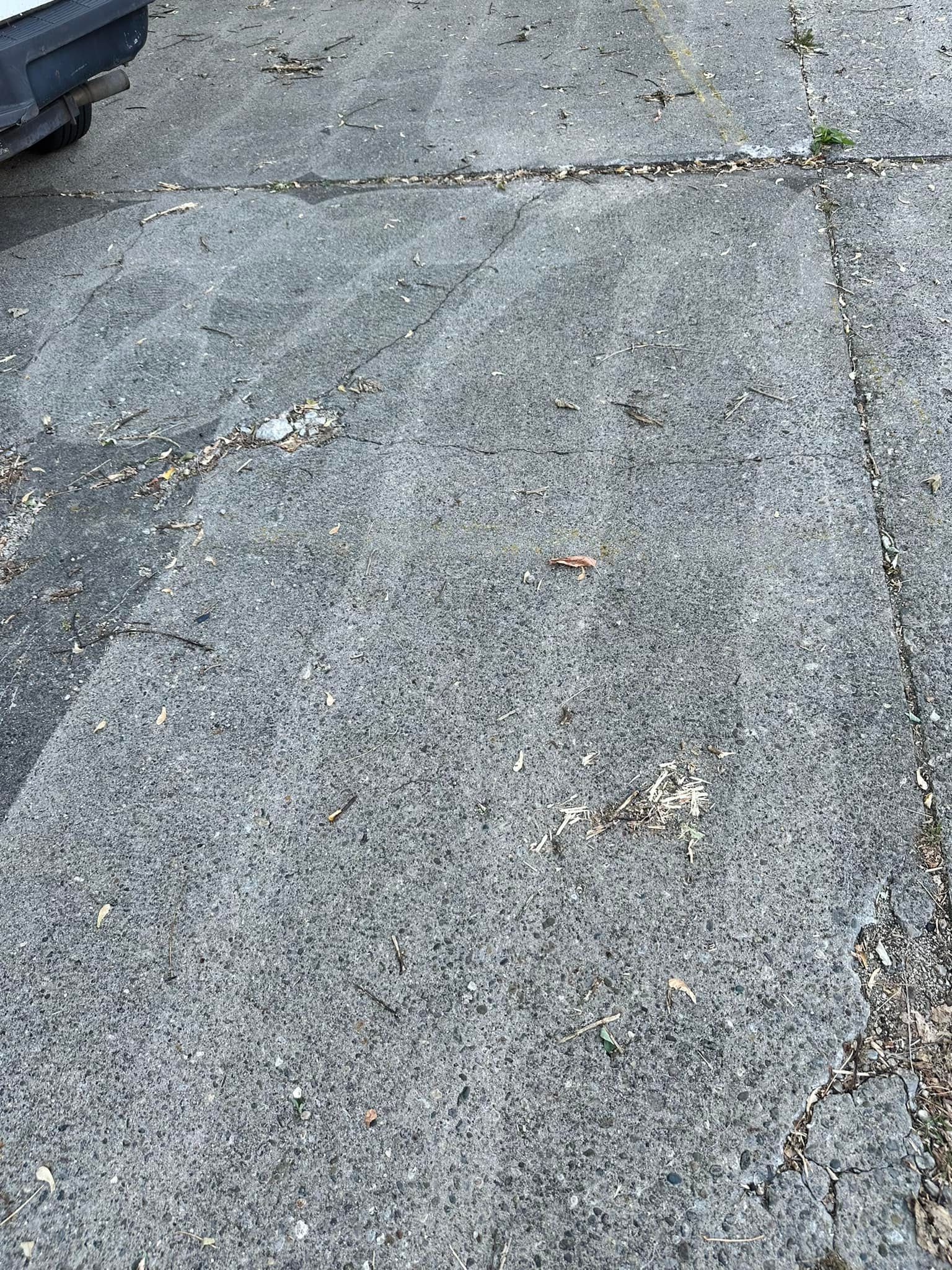 Cracked gray concrete sidewalk with scattered debris and a small patch of grass.