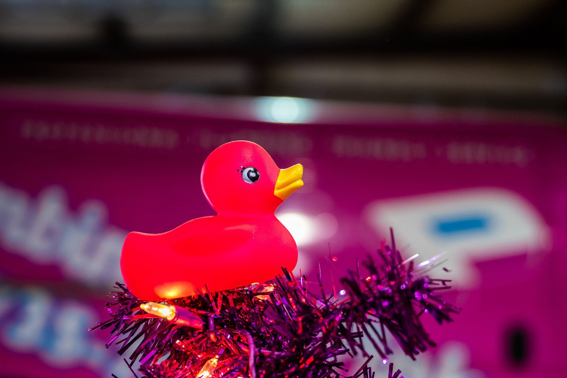 Pink rubber duck perched on shiny tinsel, with a blurred magenta background
