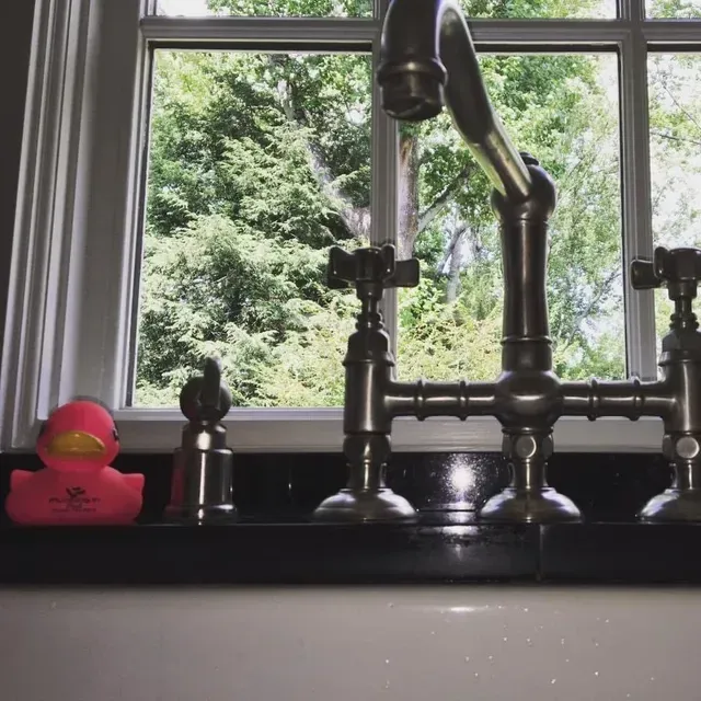 Kitchen sink with black faucet under a window, green trees outside, and a pink rubber duck on the counter.