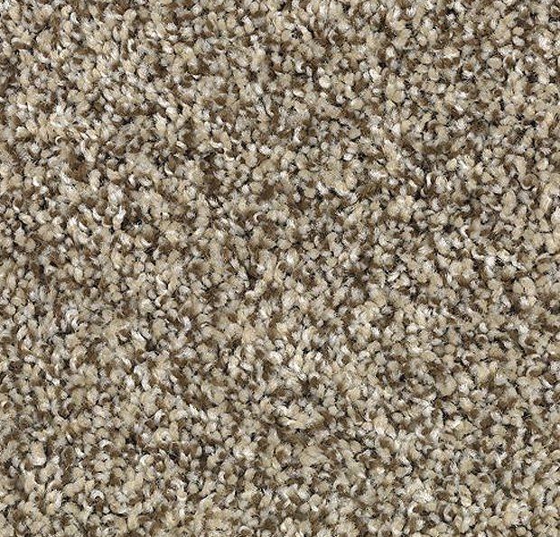Carpet