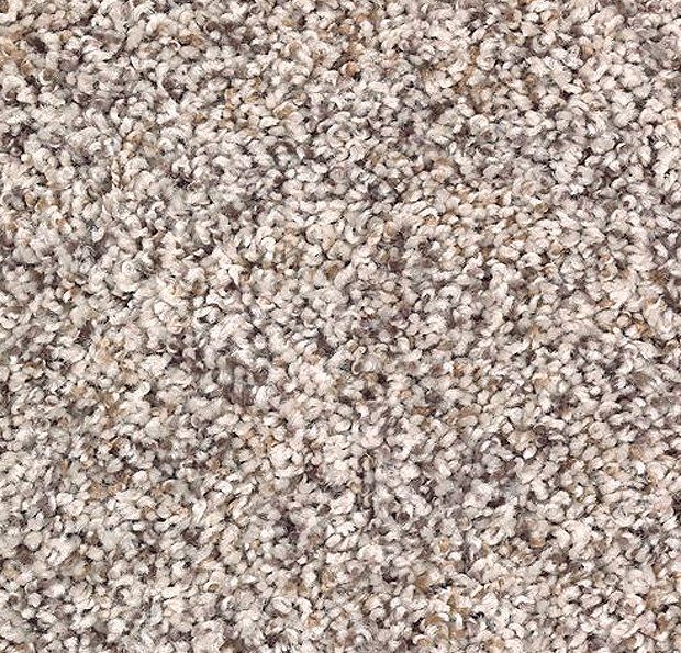 Carpet