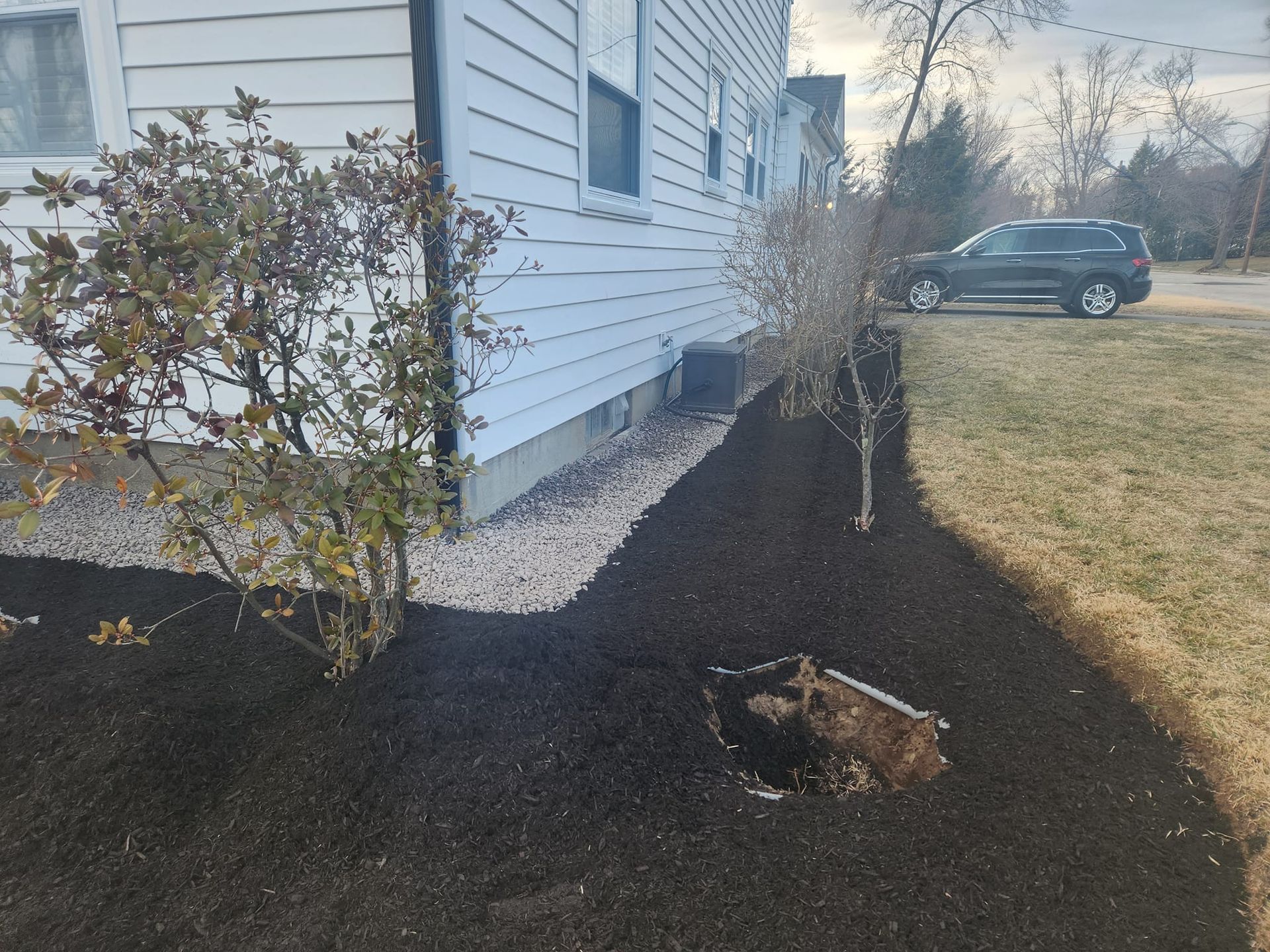 black mulch