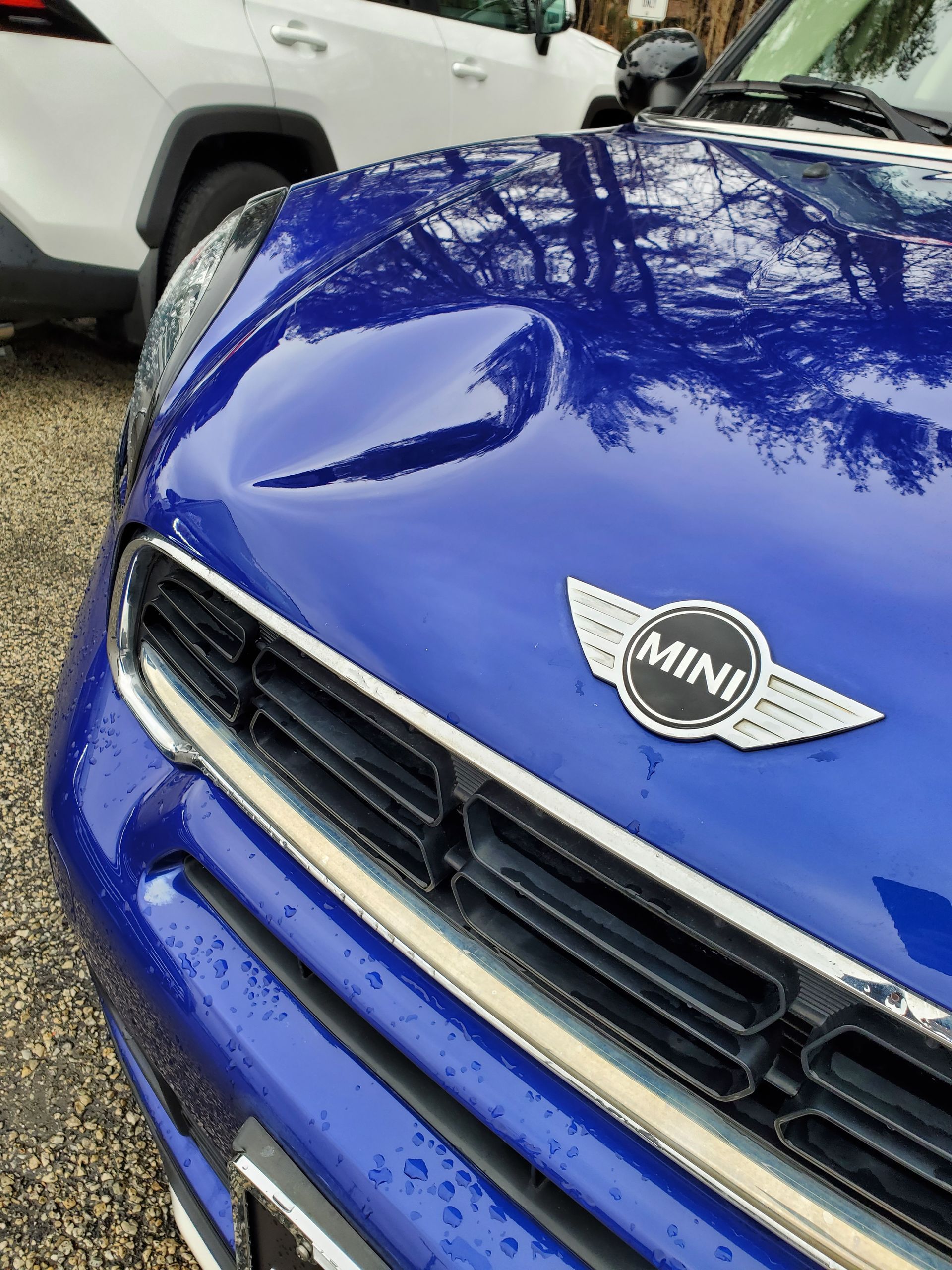 Front view of a blue MINI car hood with winged emblem, parked outdoors under tree reflections