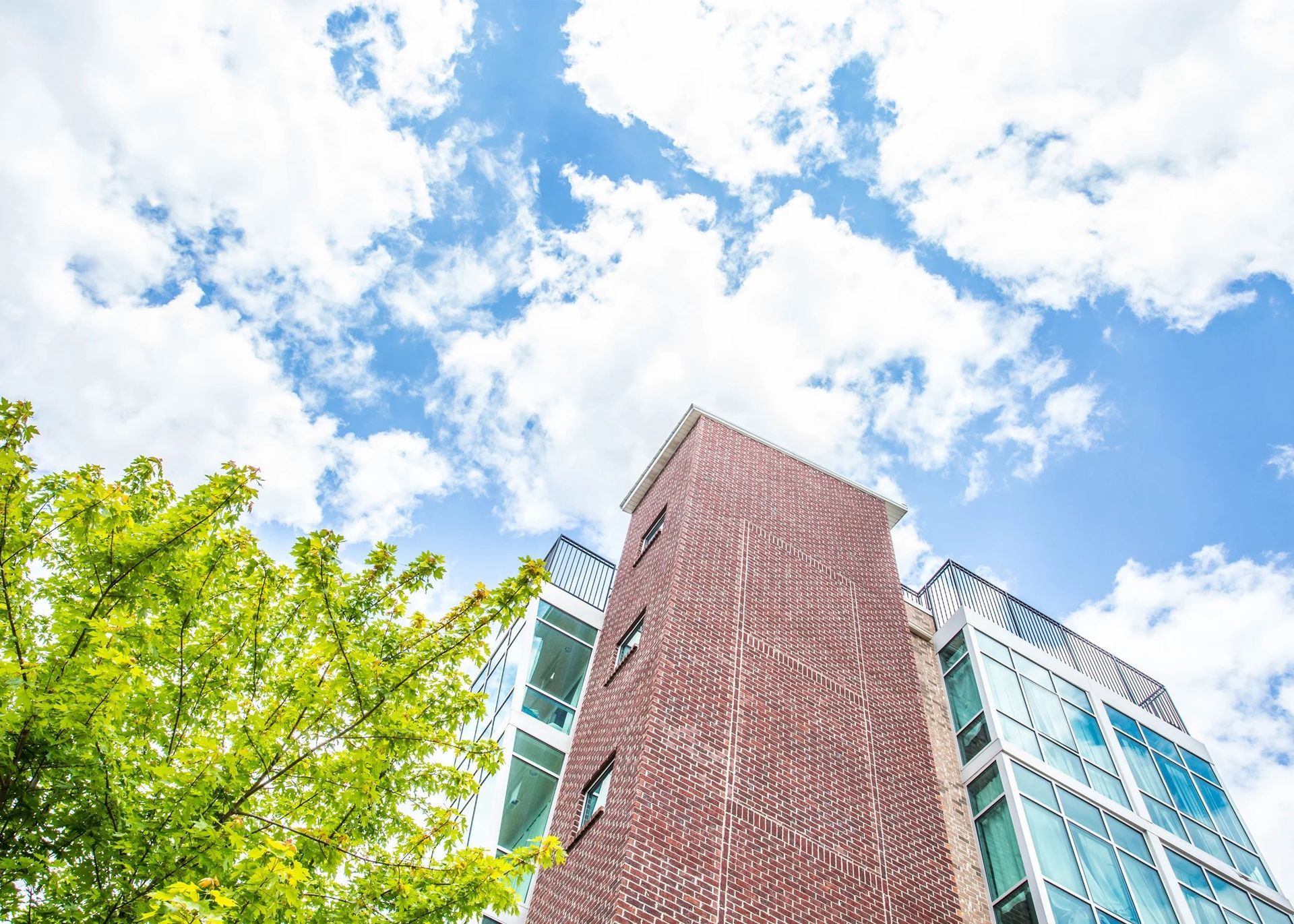 Looking up at a brick building and glass facades beneath a bright blue sky with clouds, framed by green leaves