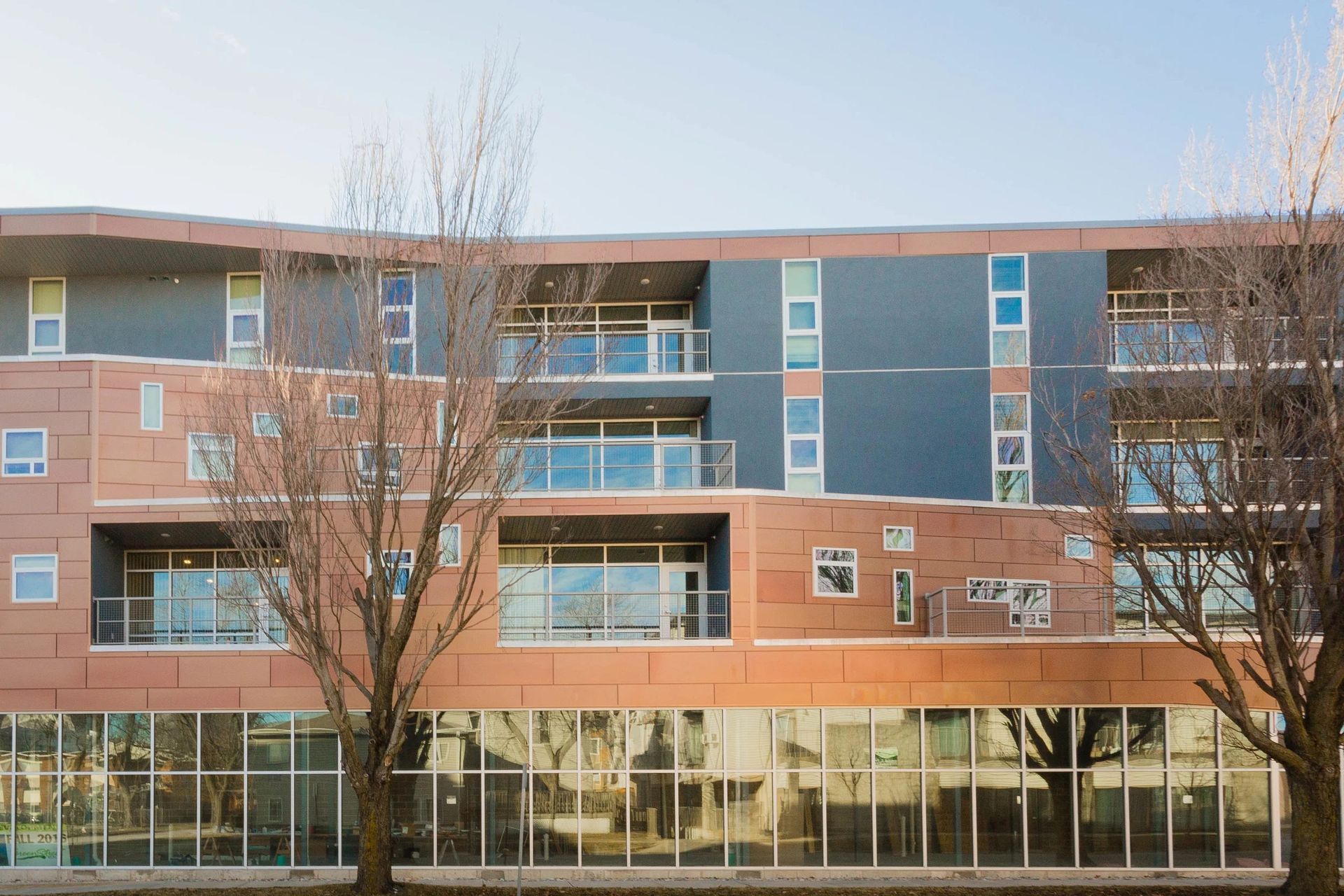 Modern apartment building with brick and blue panels, balconies, and leafless trees in front