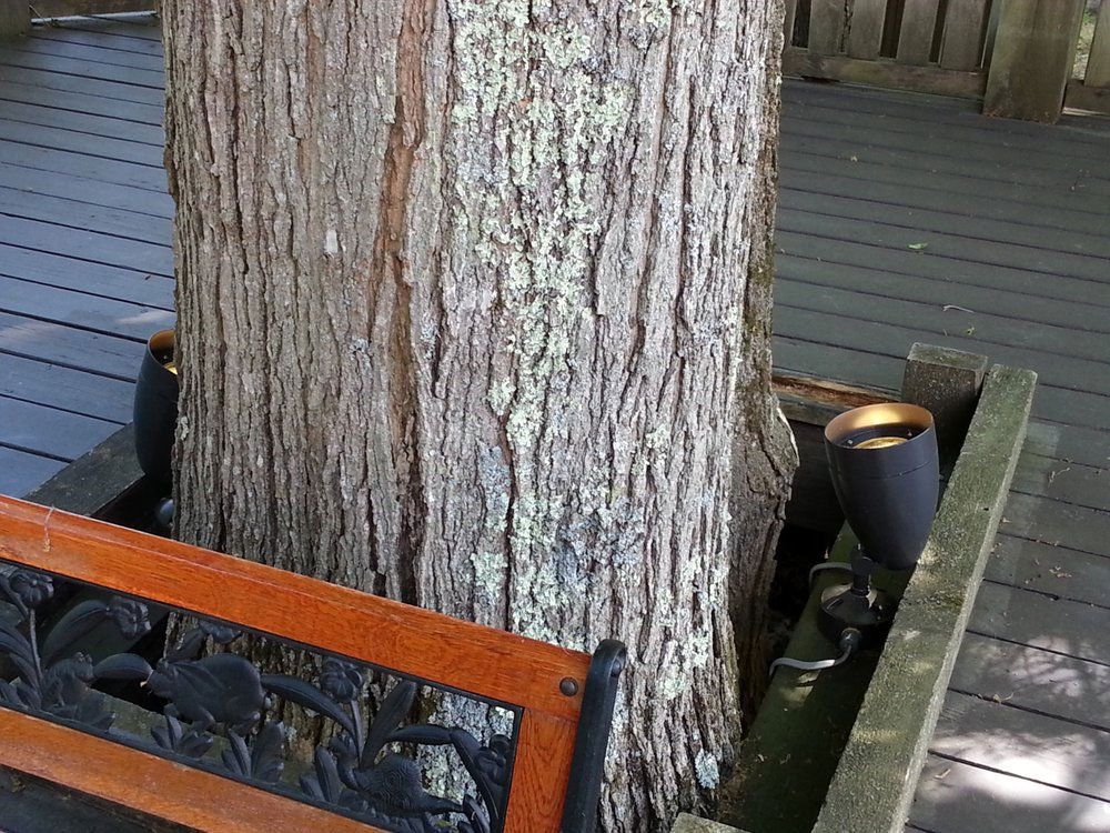 residential lighting