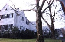 A large white house with a lot of windows and trees in front of it.
