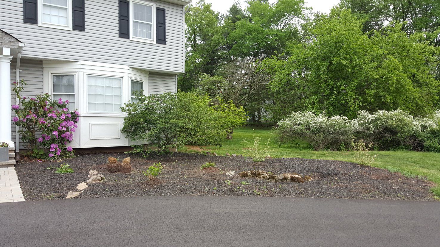 After Landscaping