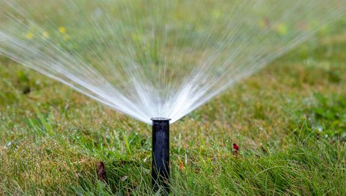 Sprinkler watering a green lawn, spraying water in a wide fan pattern