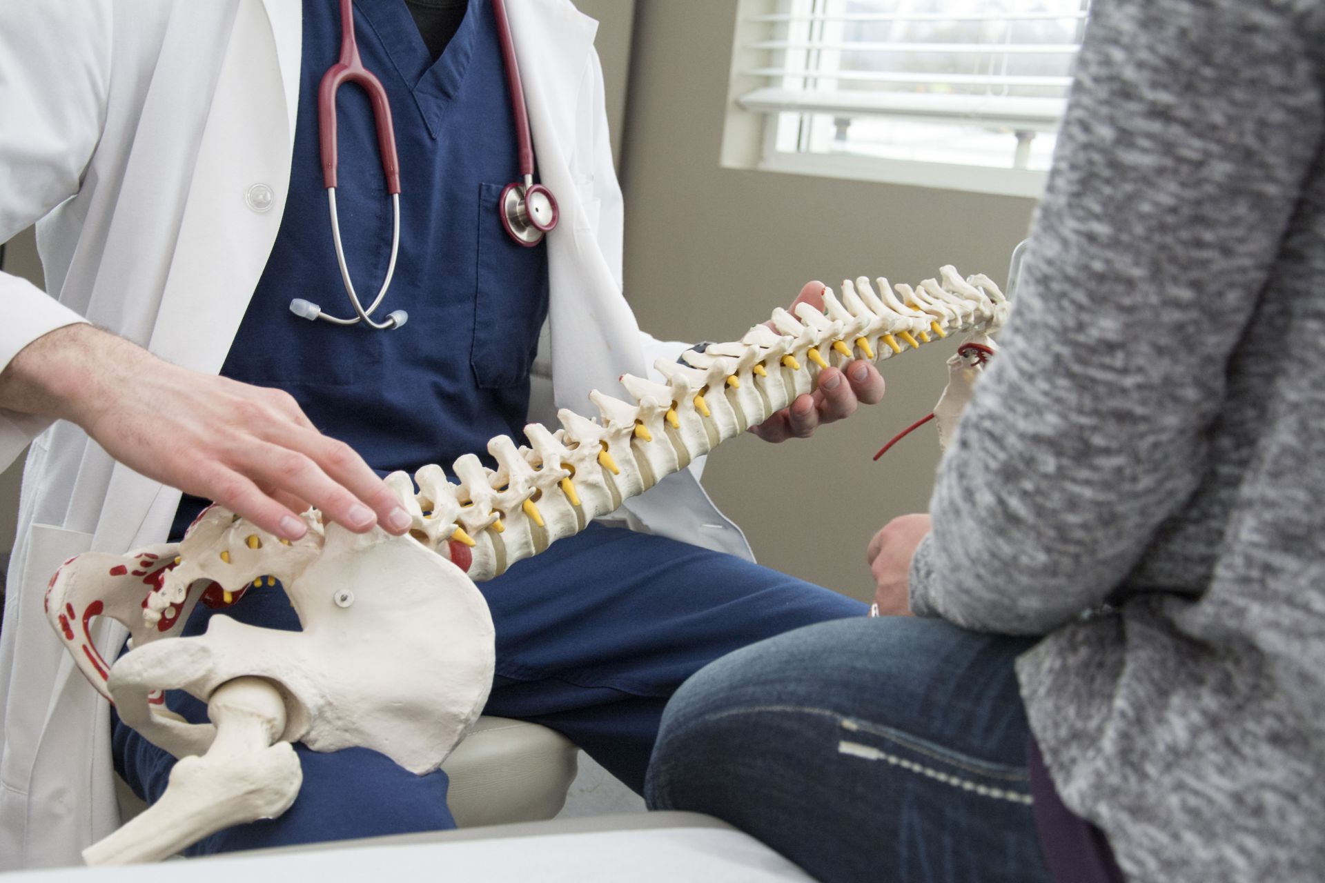 Doctor showing a spine model to a patient in an office.