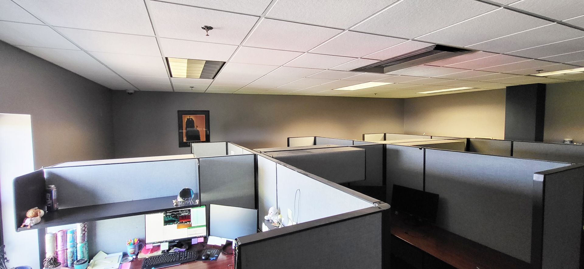 Office cubicles in a workspace, with a dropped ceiling and a framed art piece on the wall.