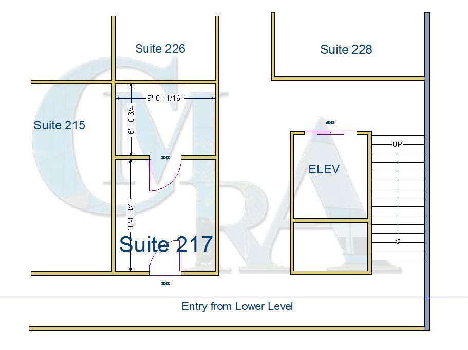 A floor plan of a building showing suite 217