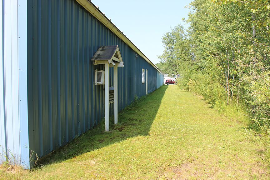 a blue building with a birdhouse on the side of it