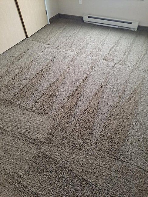 After cleaning the floor carpet