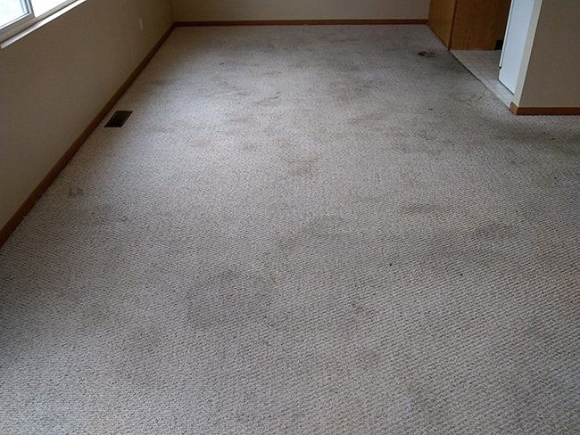 Before cleaning the carpet