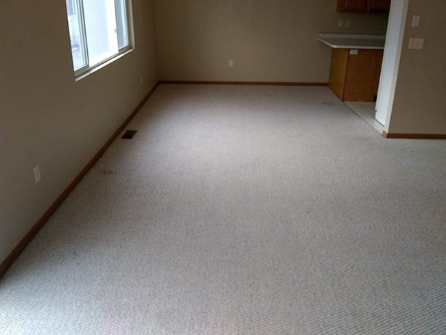 After cleaning the carpet