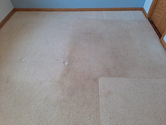 Before floor carpet cleaning