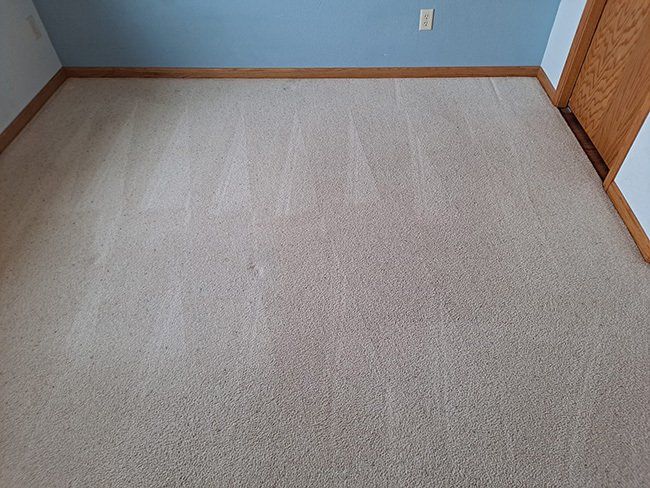 After floor carpet cleaning