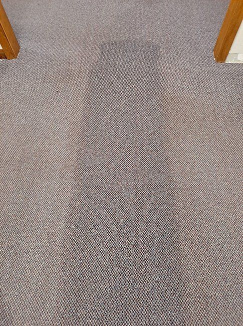 Before and after carpet was cleaned
