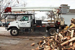 Tree service truck