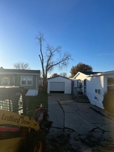 ledford tree removal service