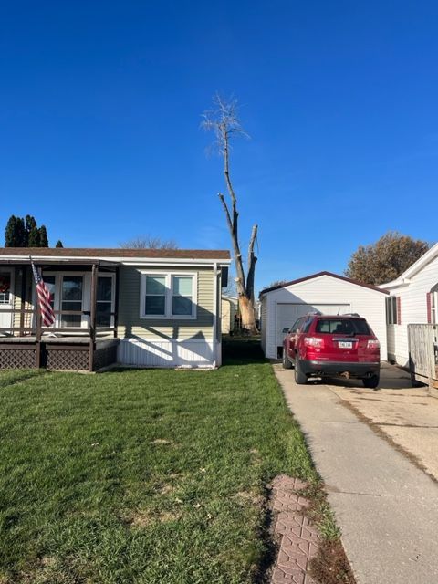 partially cut out tree at the backyard