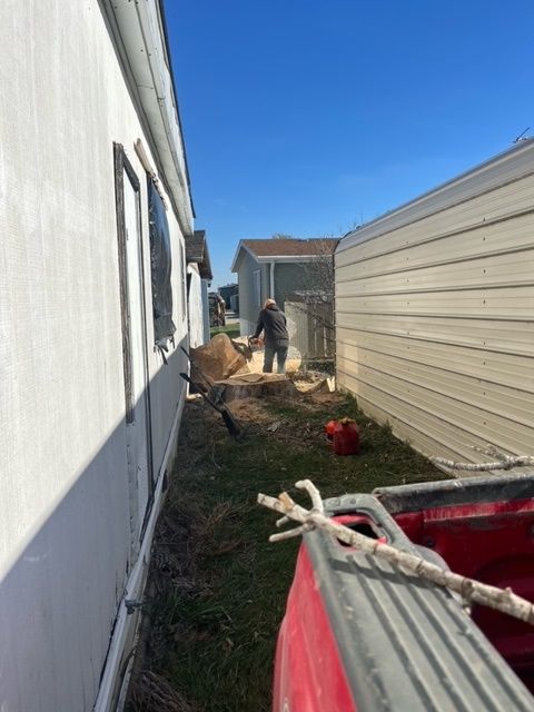 man with electric saw stump cutting