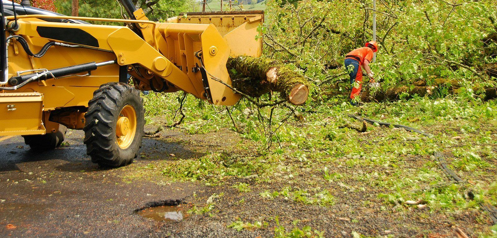 Storm damage cleanup