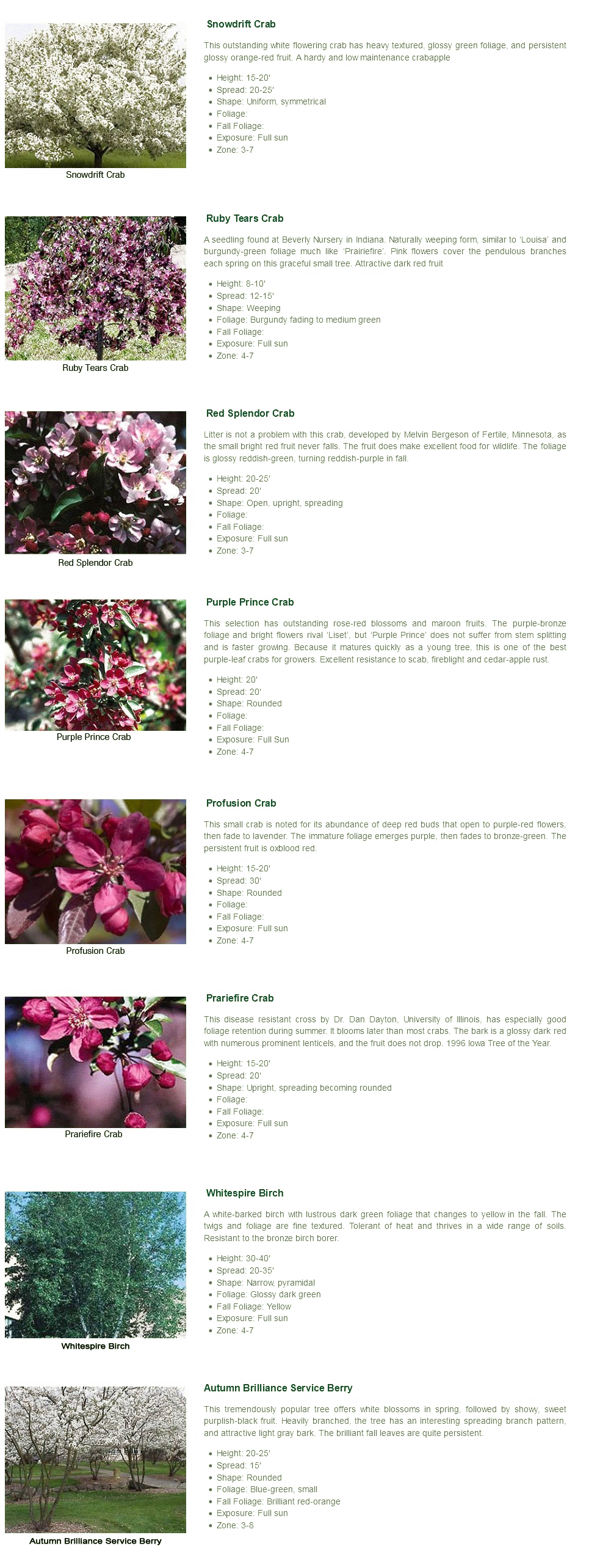 Variety of flowering trees