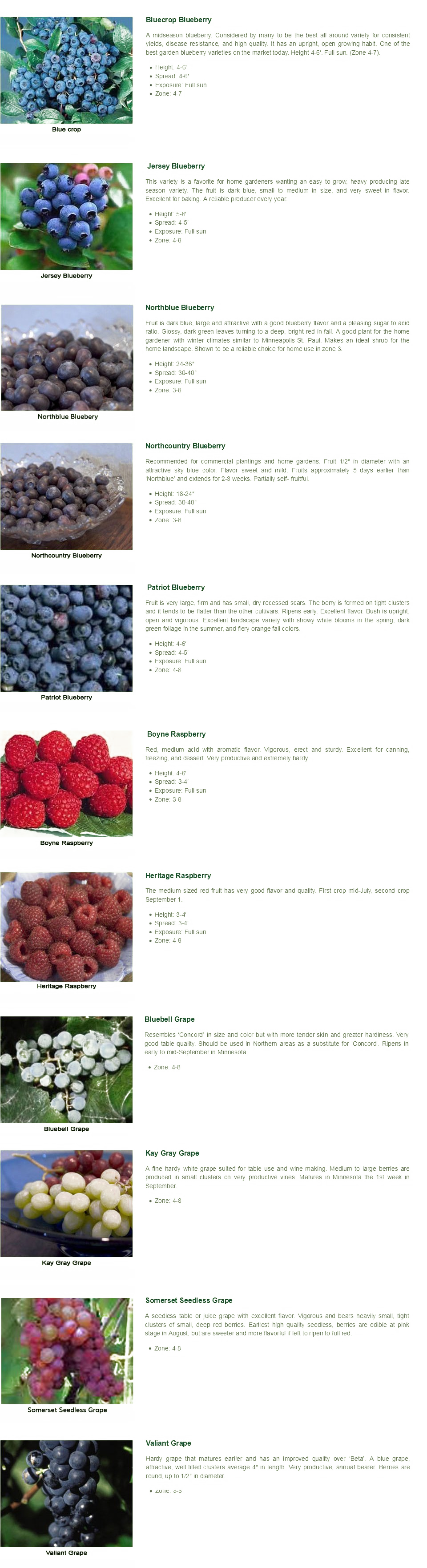 Variety of fruit plants