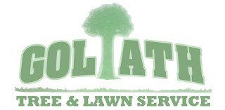 Goliath Tree and Lawn Service Logo