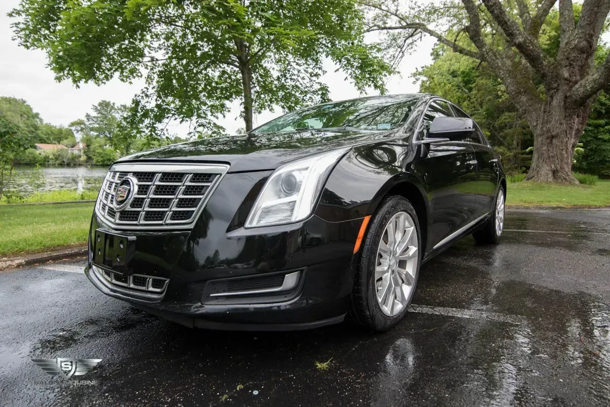 Black Cadillac XTS sedan parked on wet pavement near a tree and a lake.