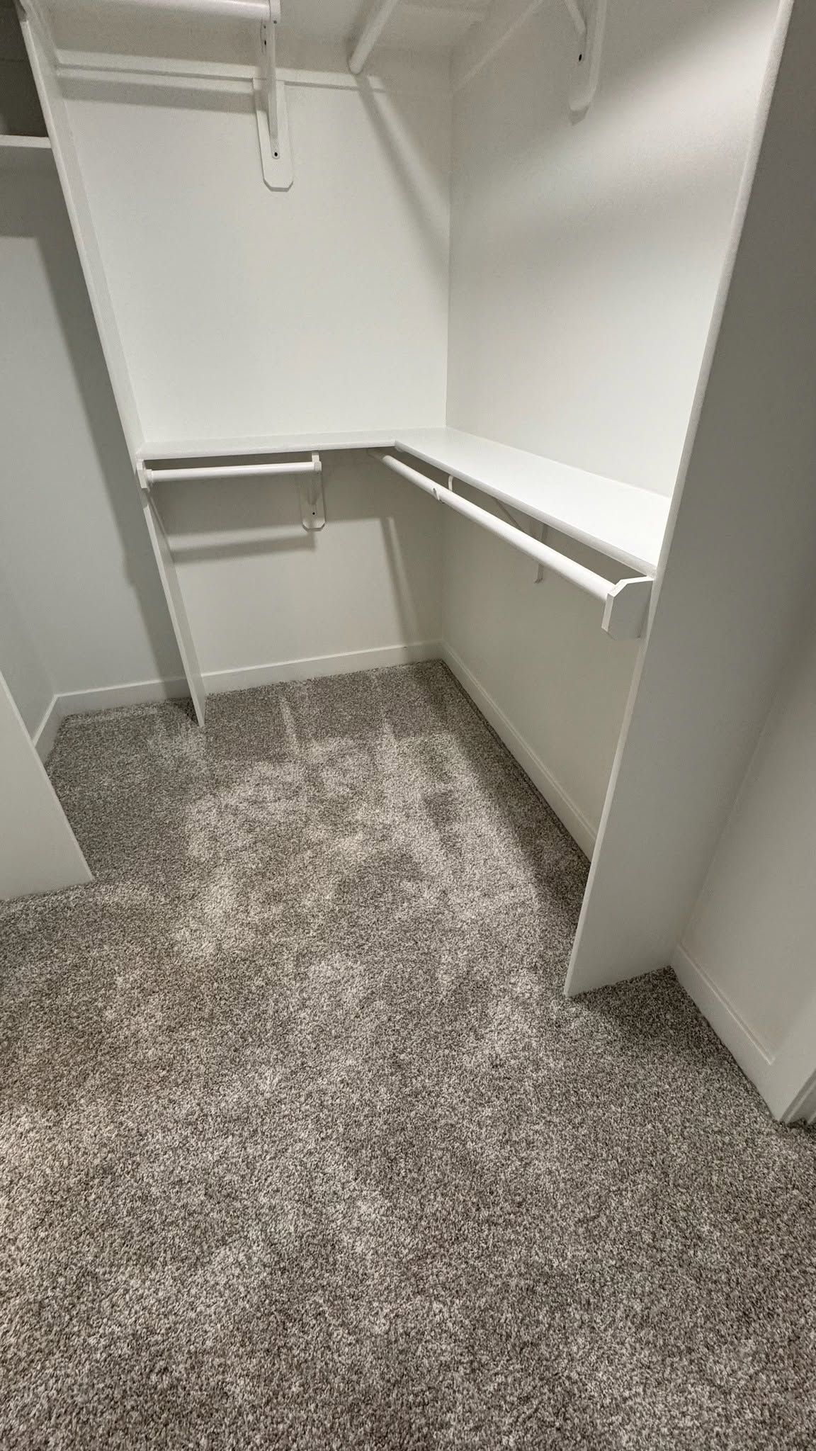 Empty walk-in closet with white shelves, hanging rods, and beige carpet.