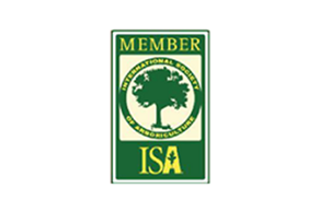 ISA Member logo