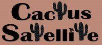 Cactus Satellite Inc - Logo