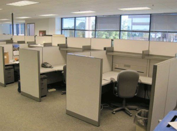 Empty office cubicles