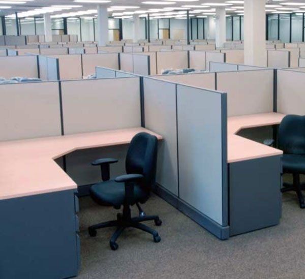 Empty office cubicles