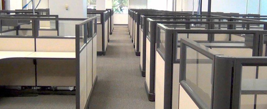 Empty office cubicles