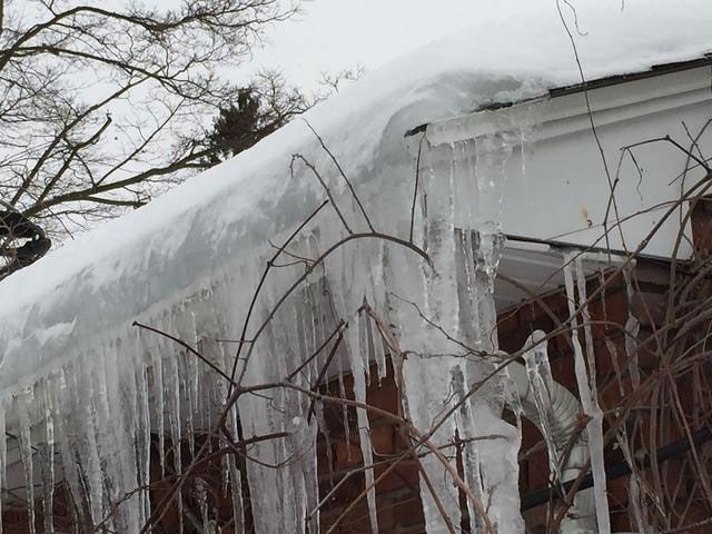 Thick icicles hanging from roof
