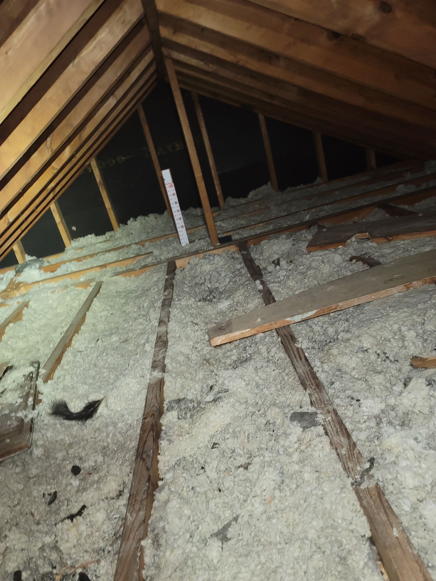 Before attic insulation