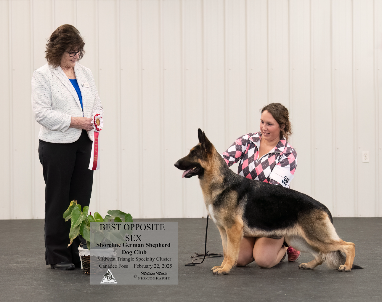 A German Shepherd stands on a show ring floor with its handler, receiving a Best Opposite Sex ribbon from a judge.