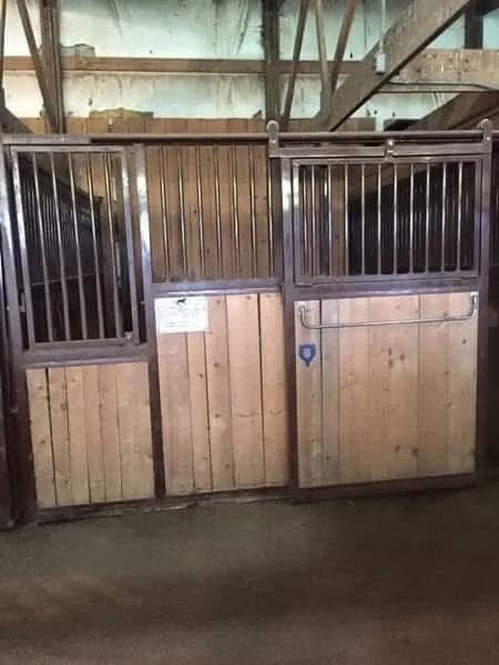 A view inside a stable showing two wooden stalls with metal barred gates and sliding doors.