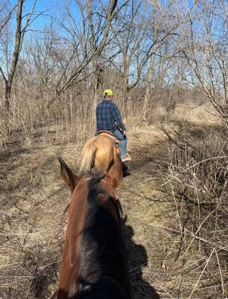 A person rides a horse on a wooded trail, viewed from the perspective of another rider behind them.