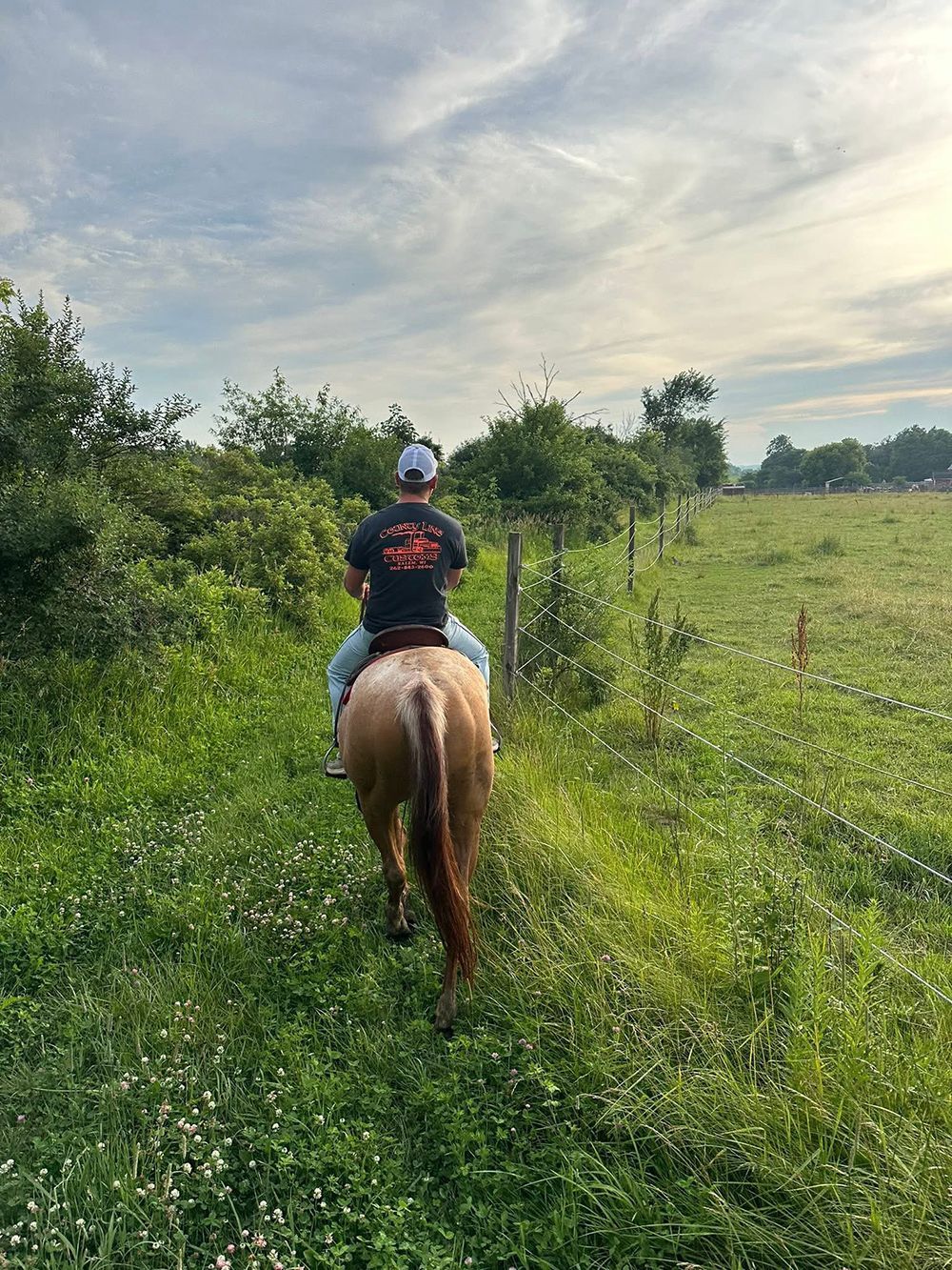 A person rides a light-brown horse along a grassy path between a thick hedge and an open field under a cloudy sky.