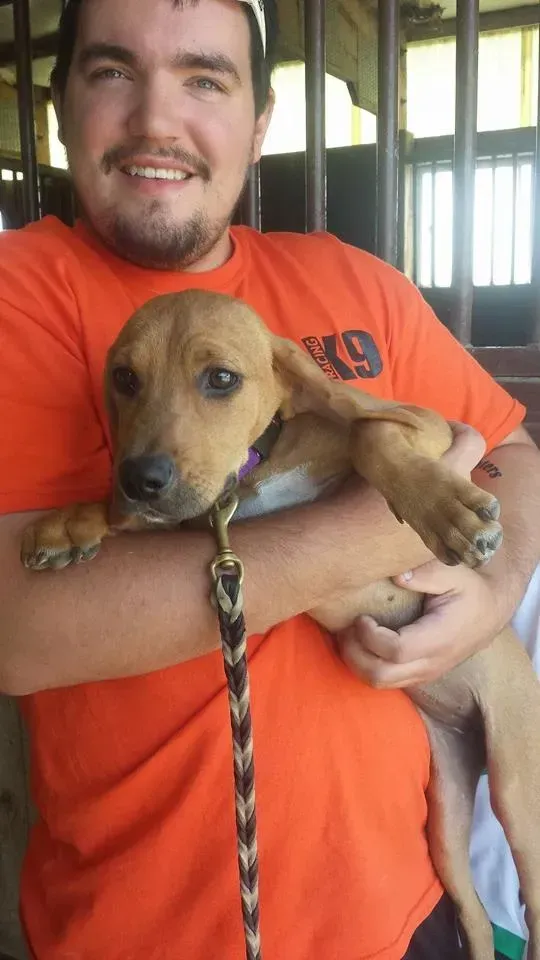 Man in orange shirt holding a tan and white dog. Dog has floppy ears and a leash. Outdoors.