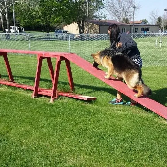 A woman guides a German Shepherd on a red dog agility ramp outdoors on a sunny day.