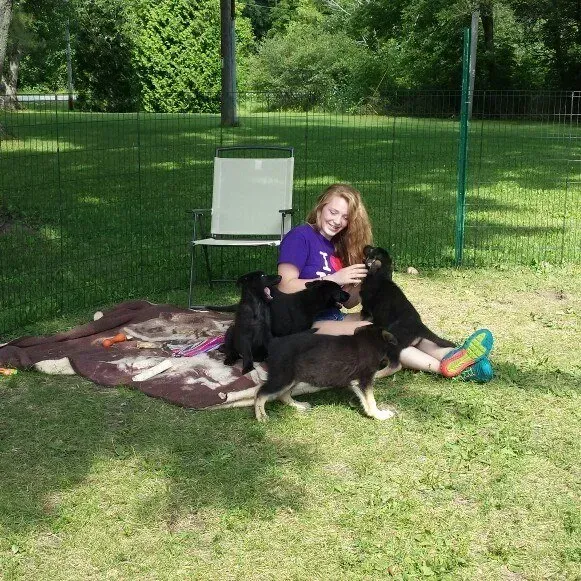 Woman sits on grass surrounded by puppies. Green space, sunny.