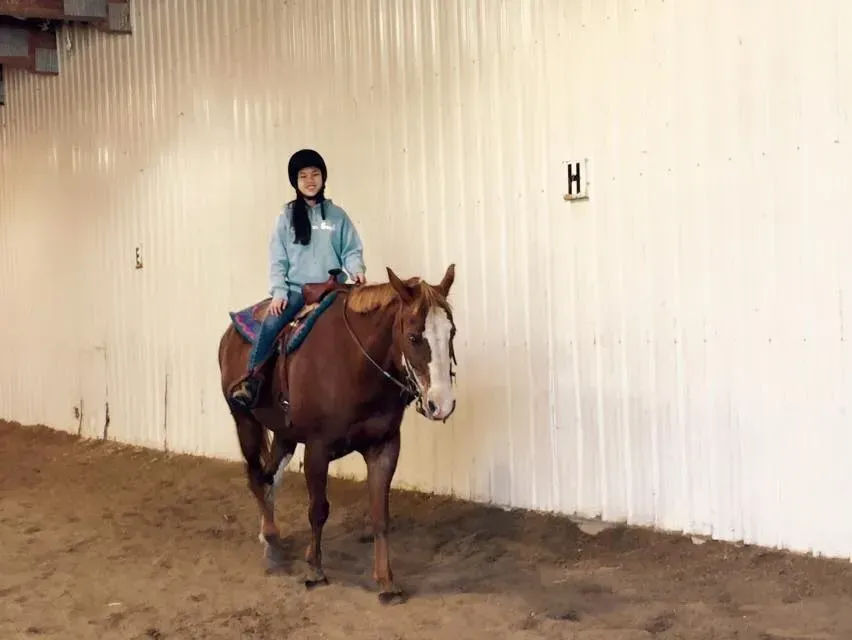 Person riding a brown horse in an indoor arena, wearing a helmet and blue sweatshirt.