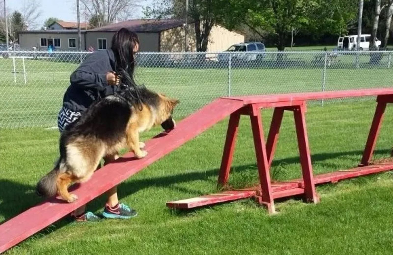 Playmate Kennels And Stables