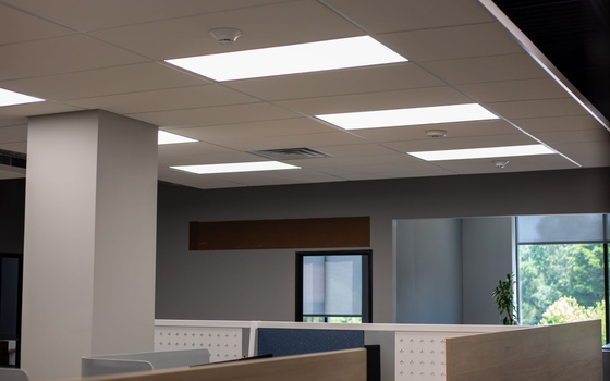 Empty office interior with cubicles, drop ceiling lights, and a window showing greenery